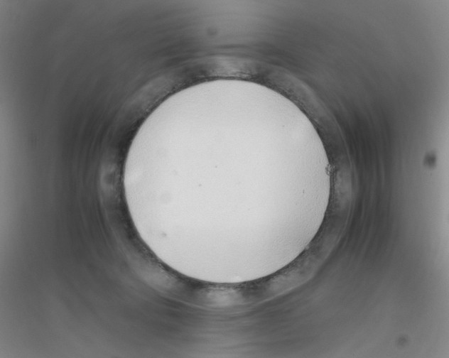 X0000116840322201001291710