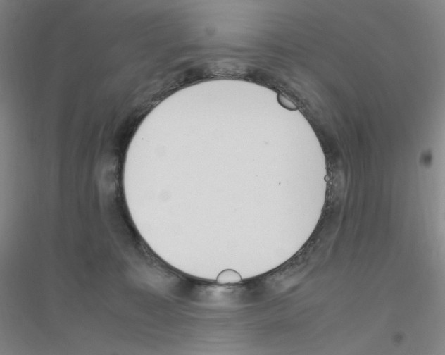 X0000116840323201001291710