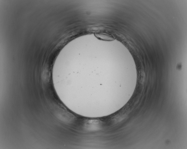 X0000116840324201001291710