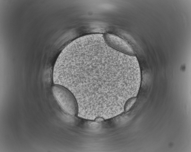 X0000116840325201001291710