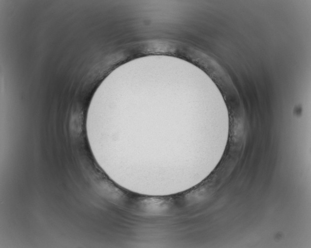 X0000116840326201001291710