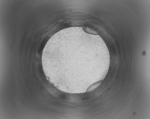 X0000116840327201001291710
