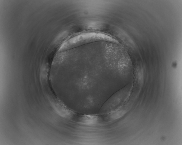 X0000116840328201001291710