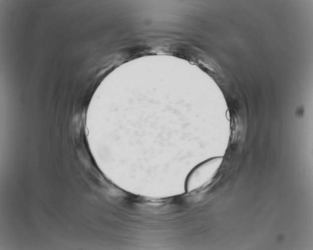 X0000116840329201001291710