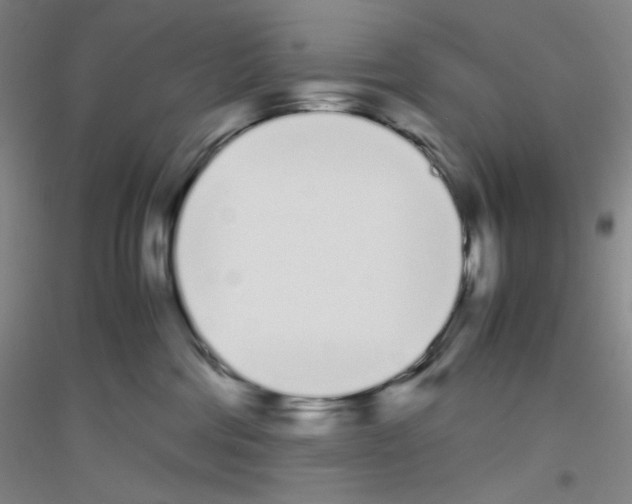 X0000116840330201001291710