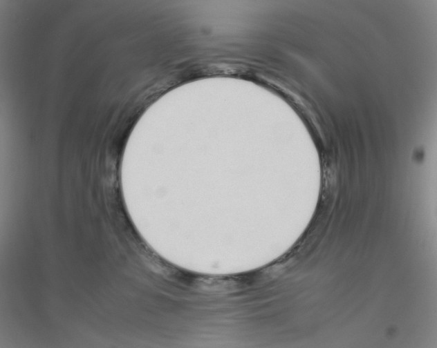 X0000116840331201001291710
