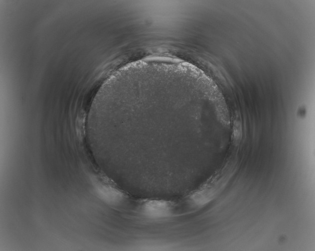 X0000116840332201001291710