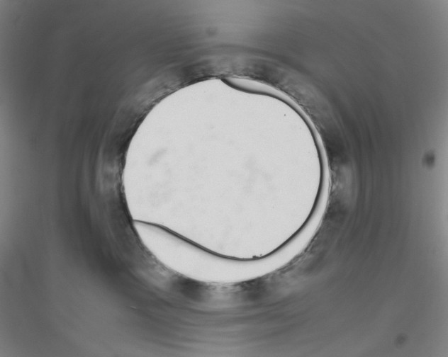 X0000116840333201001291710