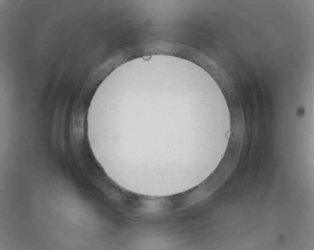 X0000116840334201001291710