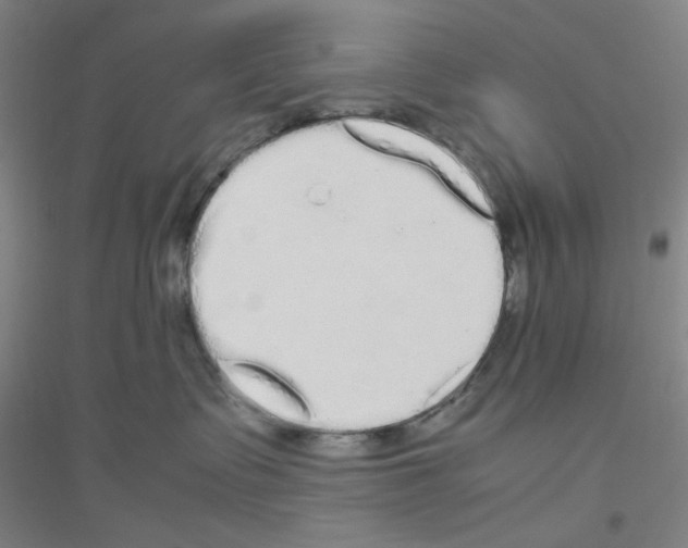 X0000116840335201001291710