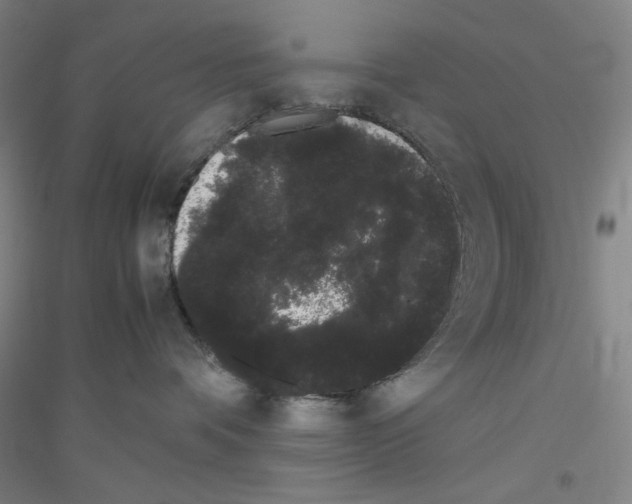 X0000116840336201001291710