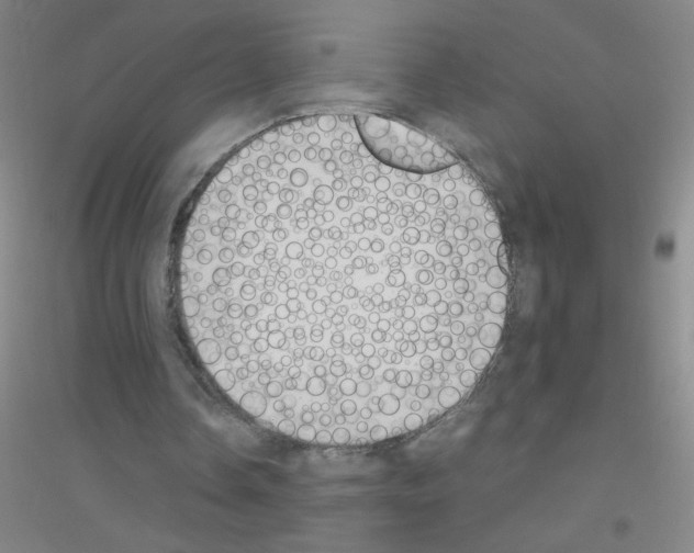 X0000116840338201001291709