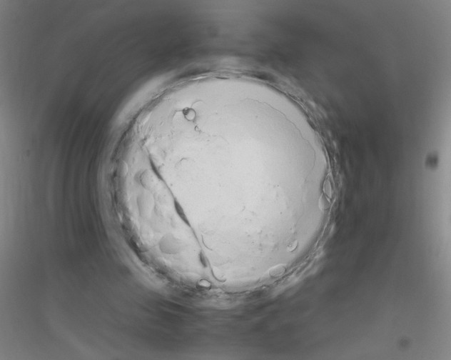 X0000116840341201001291709