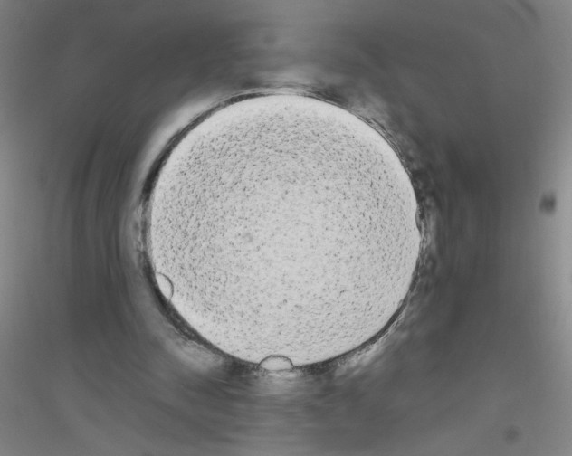 X0000116840342201001291709