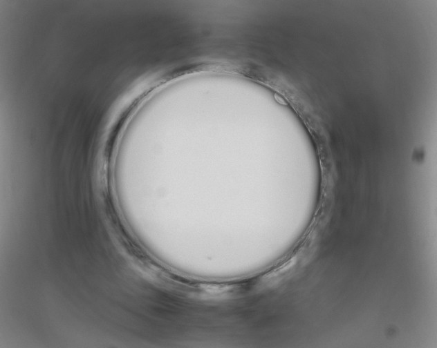 X0000116840343201001291709