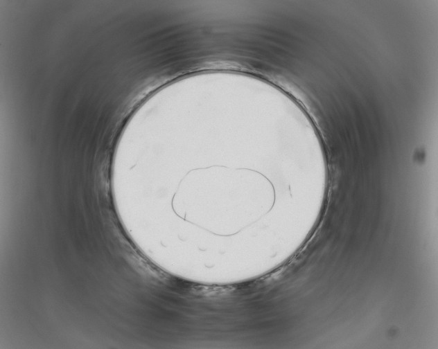 X0000116840345201001291709