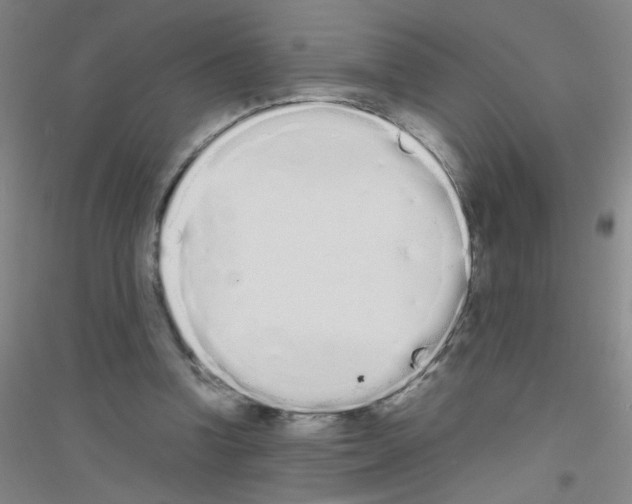 X0000116840346201001291709