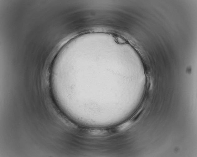 X0000116840347201001291709