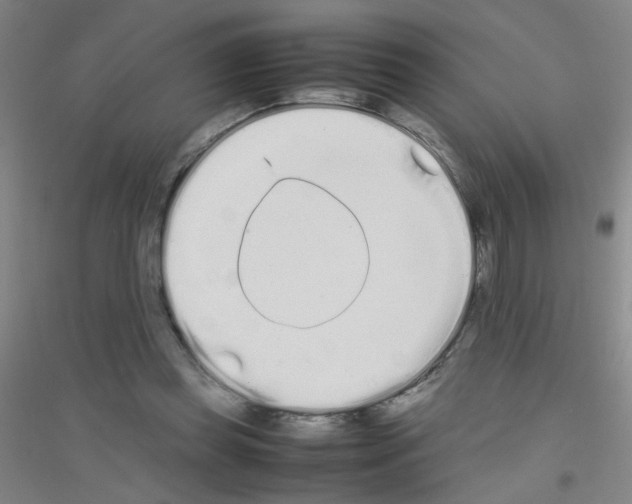 X0000116840349201001291709