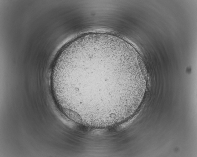 X0000116840350201001291709
