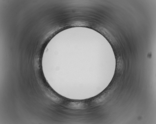 X0000116840351201001291709