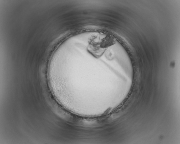 X0000116840353201001291709