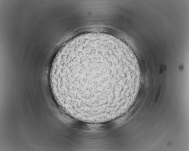 X0000116840354201001291709
