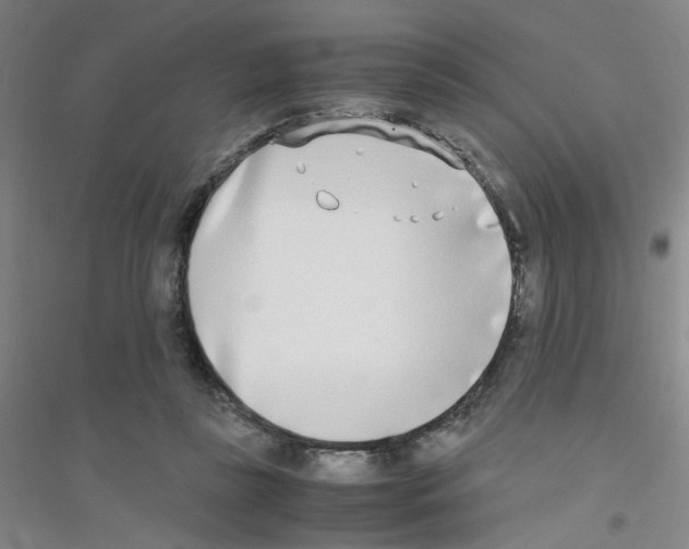 X0000116840355201001291709
