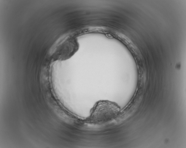X0000116840357201001291709