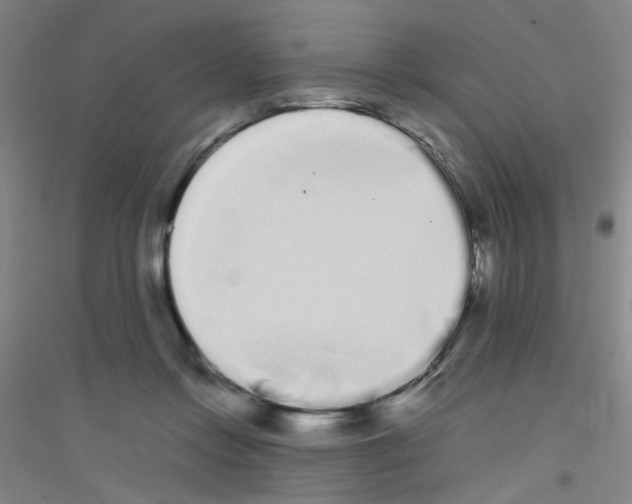 X0000116840358201001291709