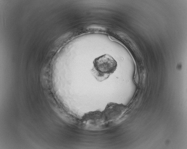 X0000116840361201001291709