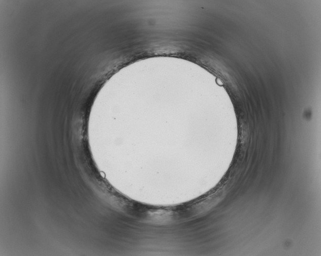 X0000116840362201001291709