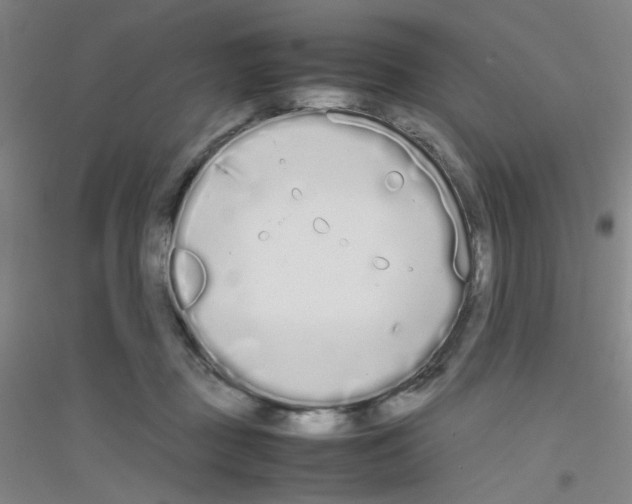 X0000116840363201001291709