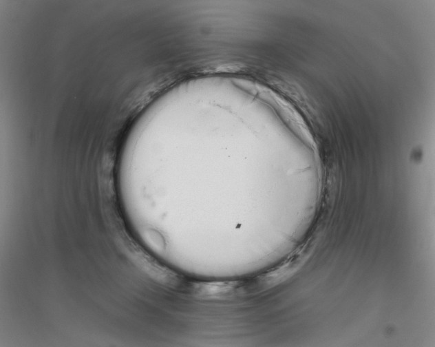X0000116840366201001291709