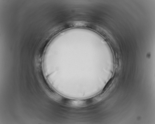 X0000116840367201001291709