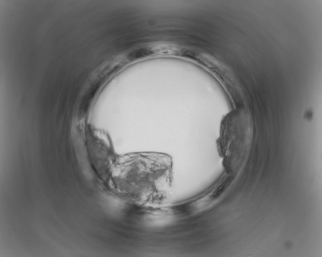 X0000116840369201001291709