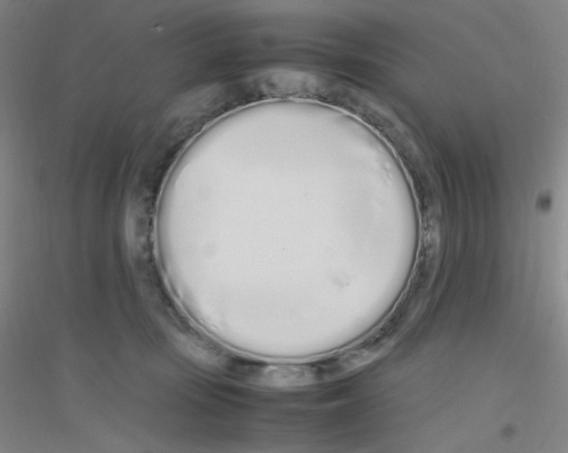 X0000116840371201001291709