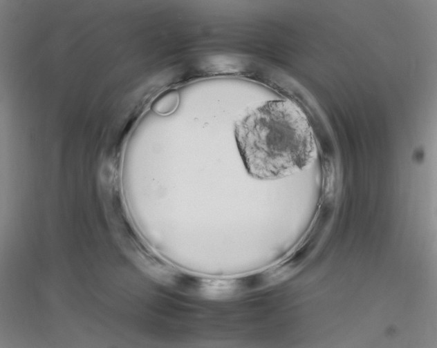 X0000116840373201001291709