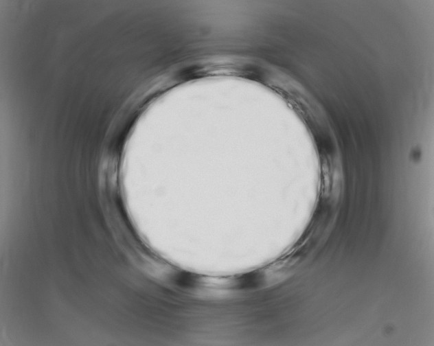 X0000116840374201001291709