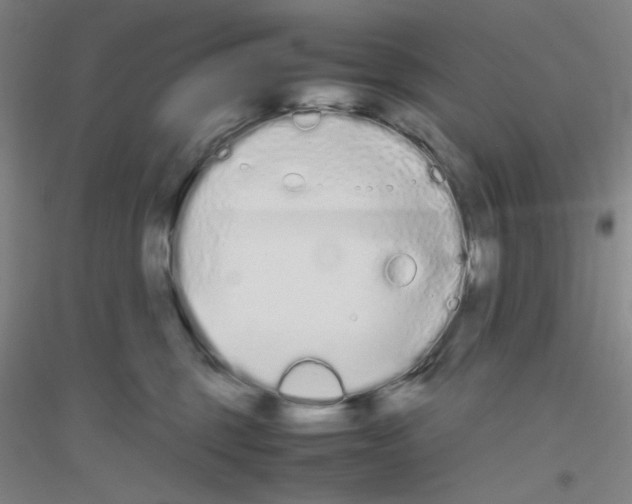 X0000116840375201001291709