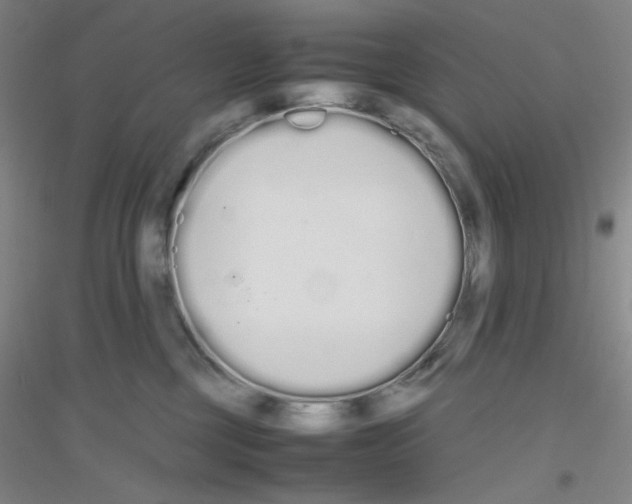 X0000116840377201001291709