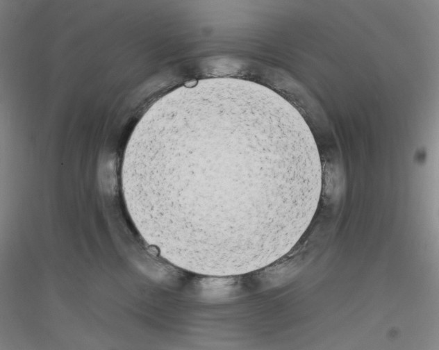 X0000116840378201001291709