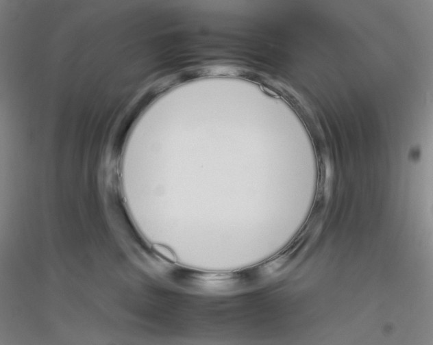 X0000116840379201001291709