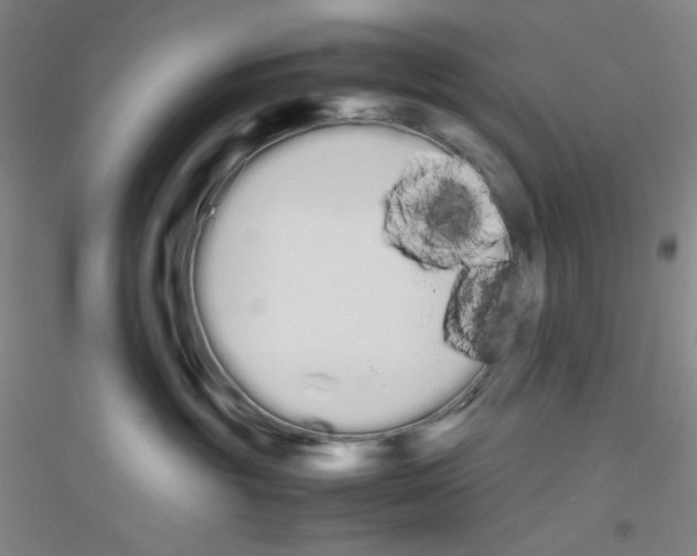 X0000116840381201001291709