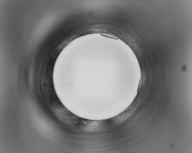 X0000116840382201001291709