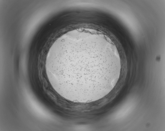 X0000116840383201001291710