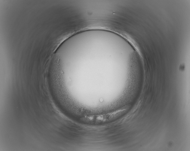 X0000116840385201001291709