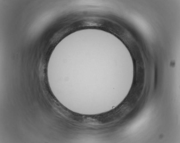 X0000116840387201001291709