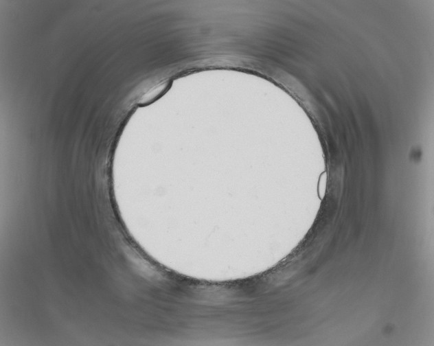 X0000116840389201001291709
