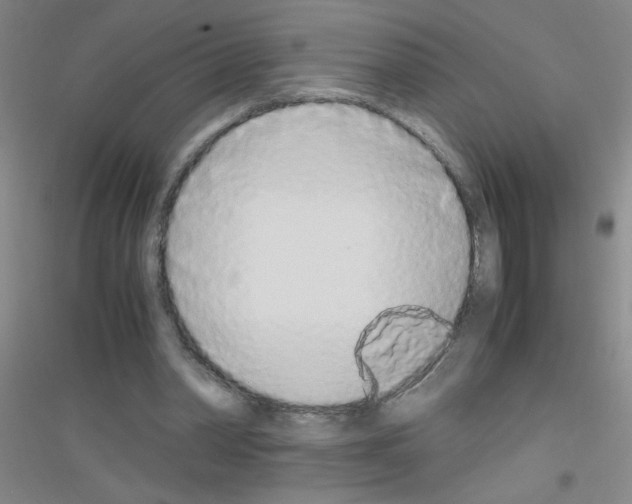 X0000116840390201001291709